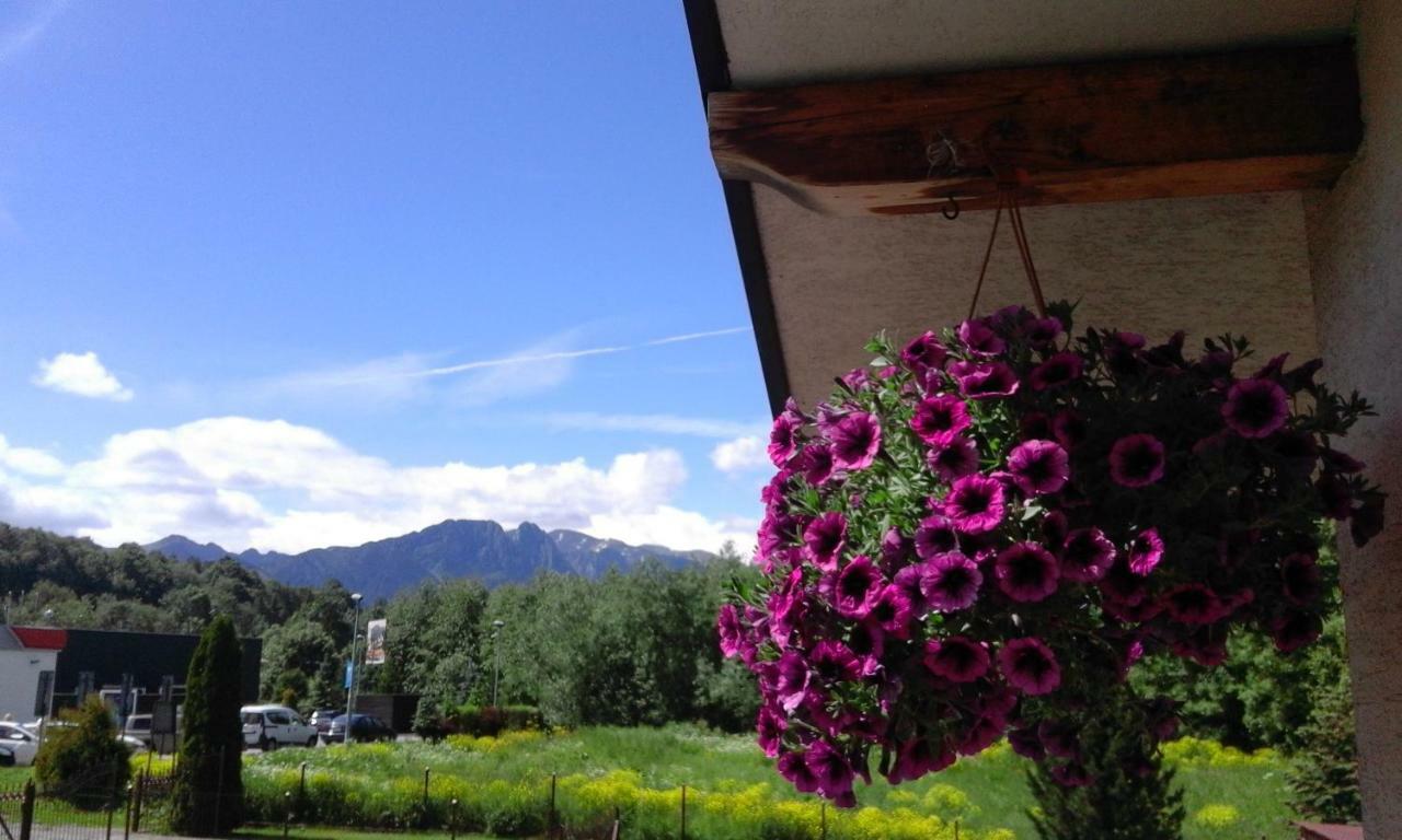 Pokoje Goscinne Agusia Zakopane Extérieur photo